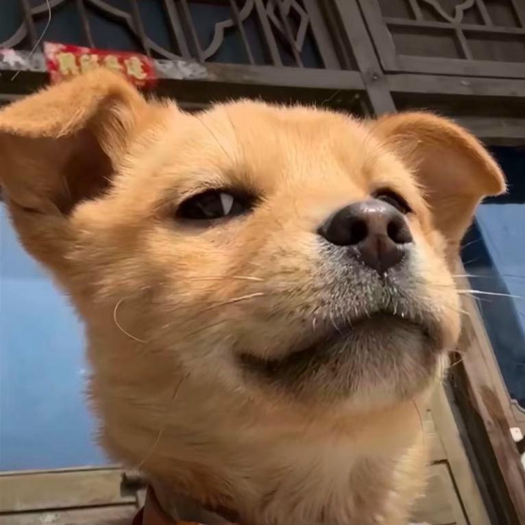 捅主任