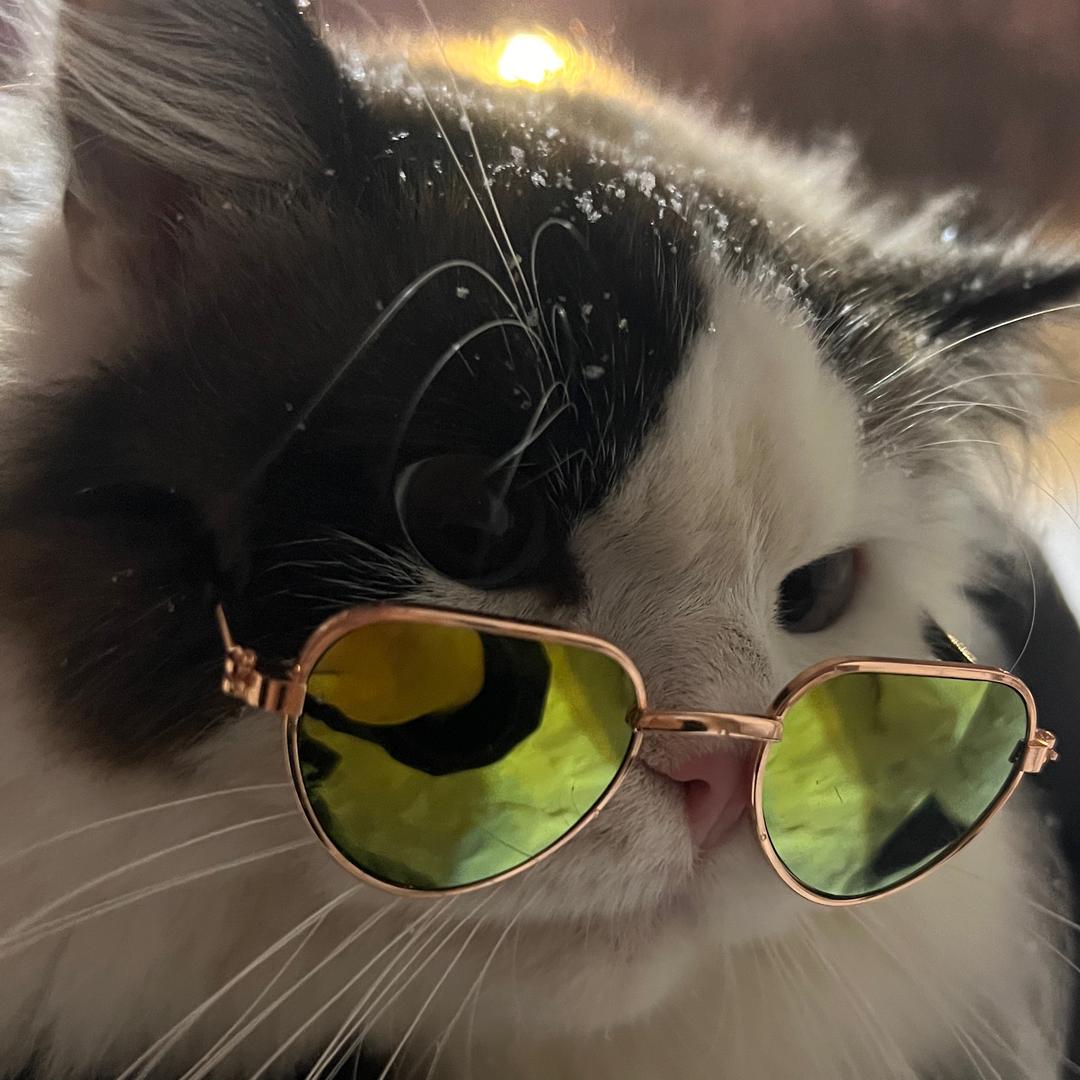 姜姜不吃姜🌈