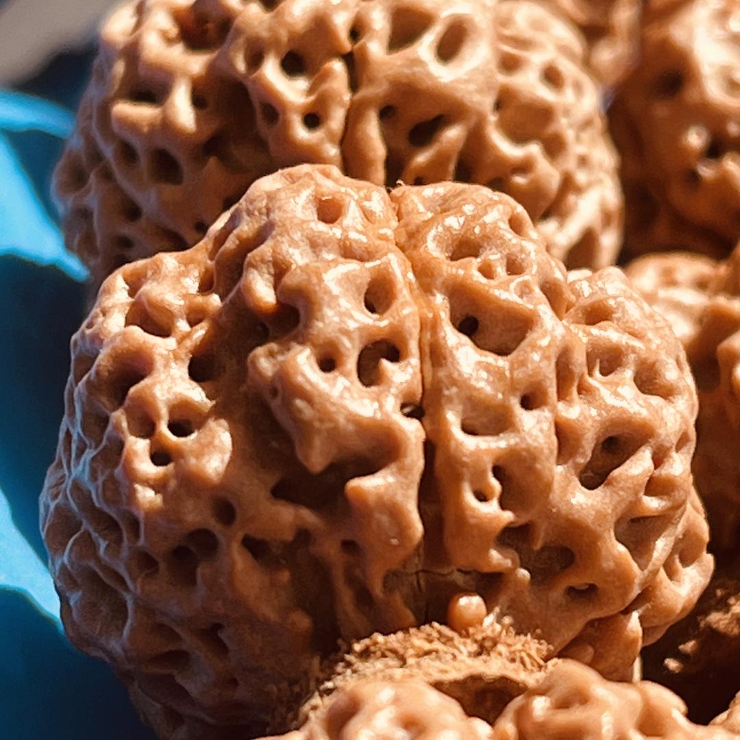 清雅斋菩提文玩