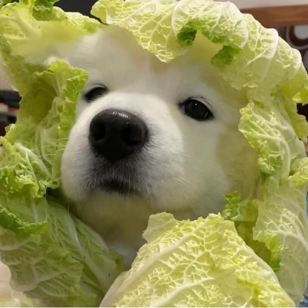 别吃西兰花