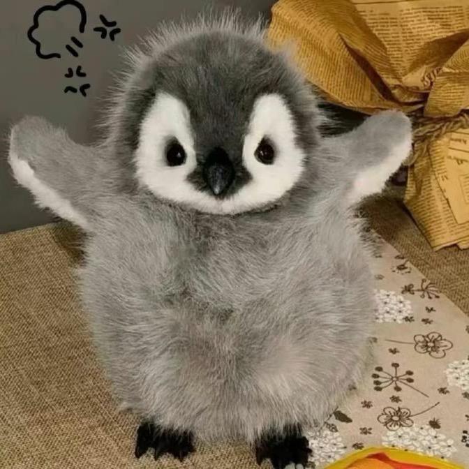 pp.