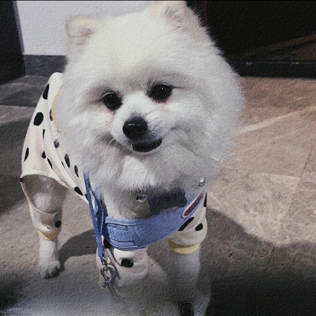 ²º²⁵多财多亿ღ