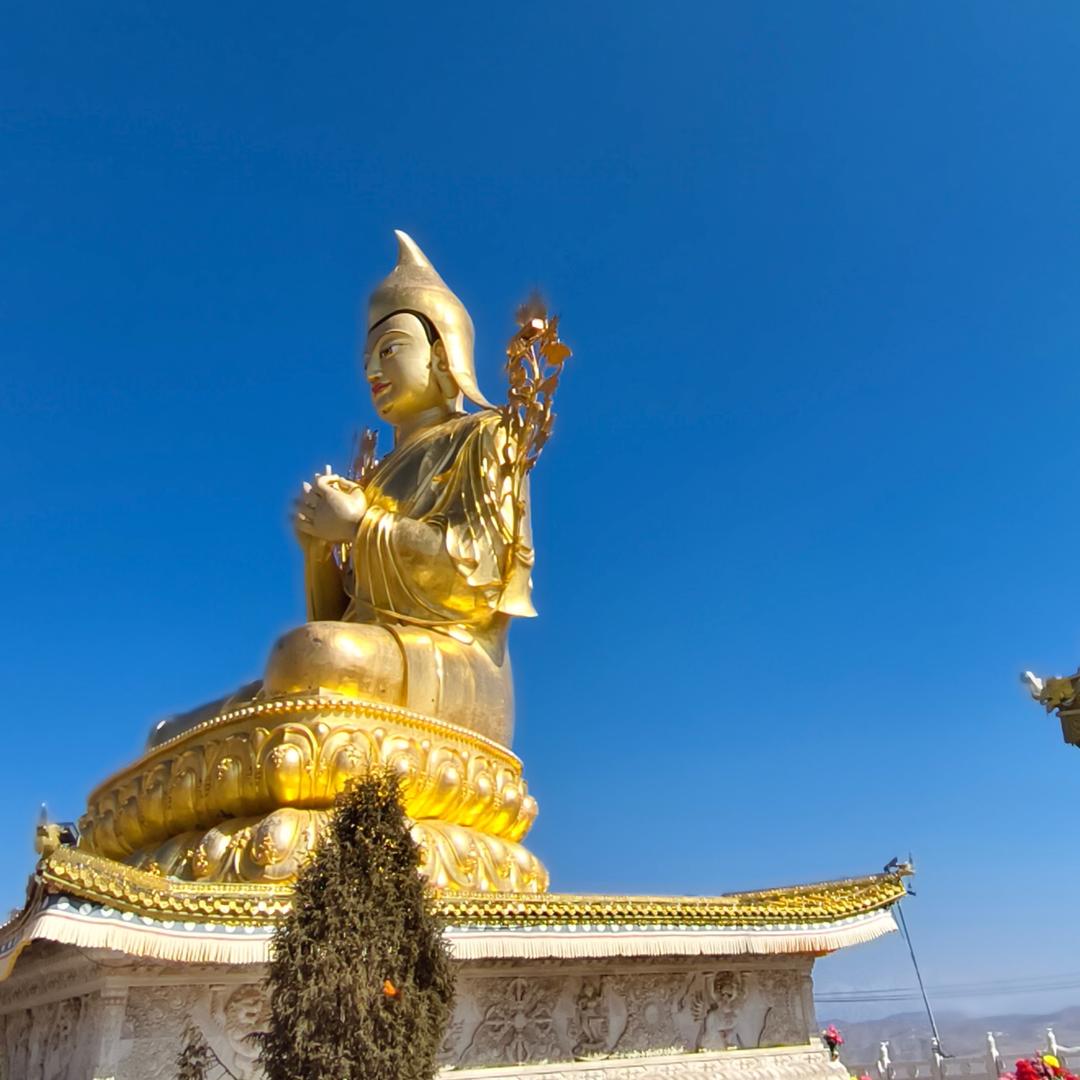 རྡོ་རྗེ། 青海精品燕麦草