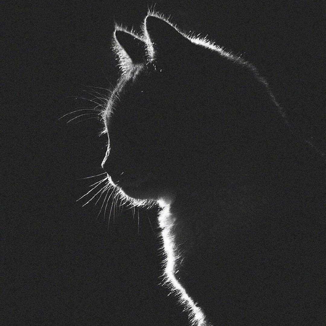 拾壹💫、