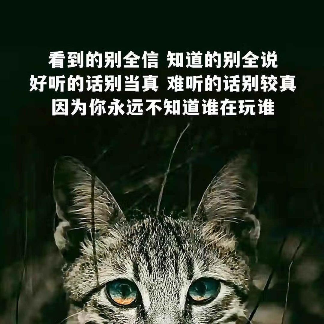 心诺把/敷位 当承谐