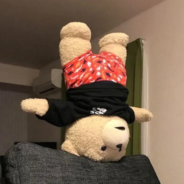 倒立的熊