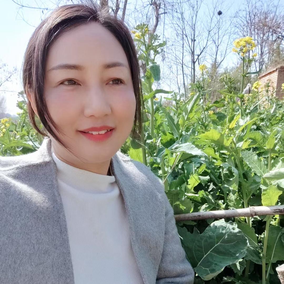 农村景姐