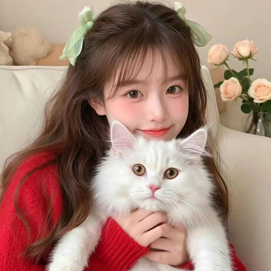 金西西（家居版）