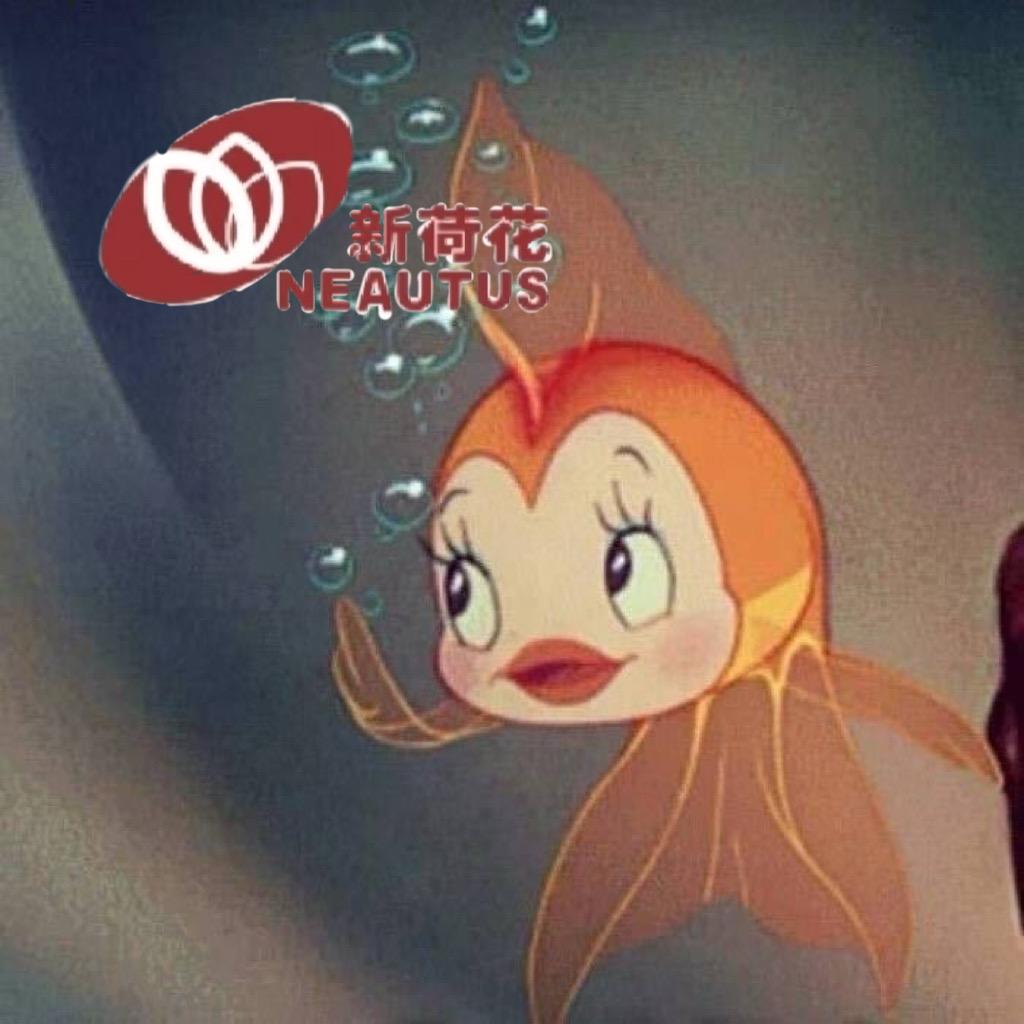 鲫鱼小金刚（新荷花版）