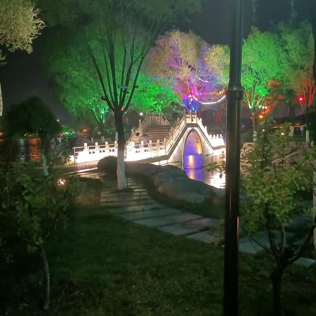 竹叶青
