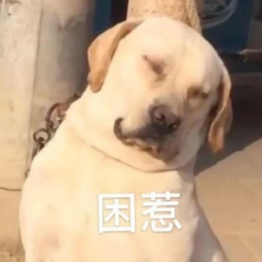 我每天都很拉风