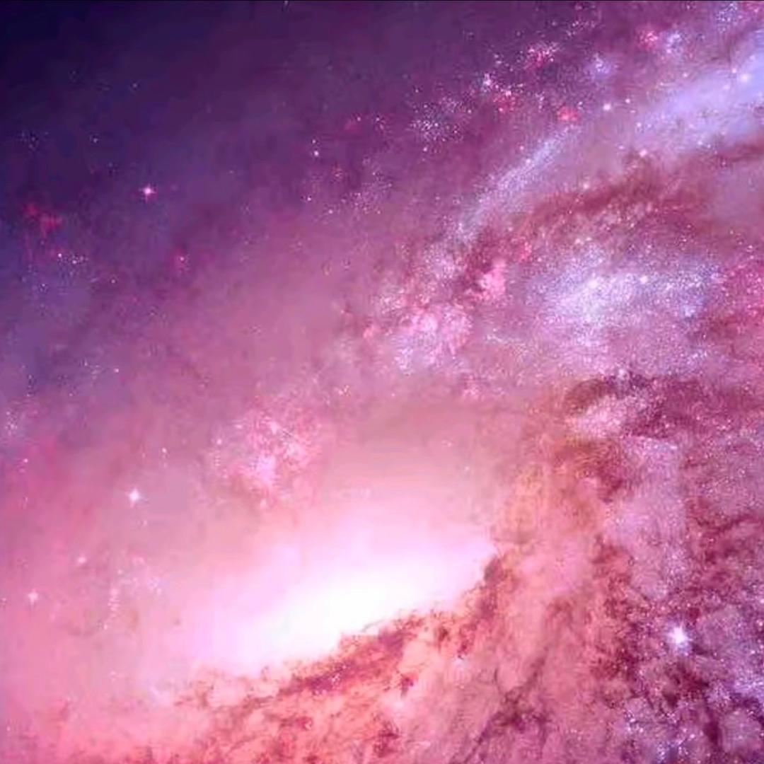 傲娇ｄｅ小祖宗🐭