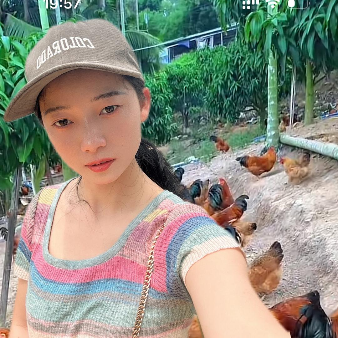 珠珠在农村养鸡