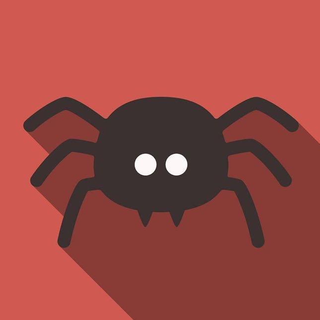 蜘蛛  🕷️ZL头像
