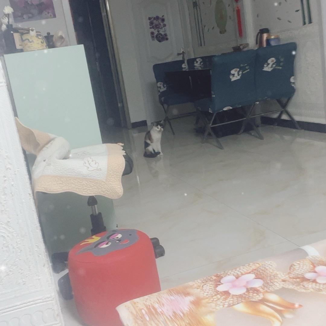 用户5208312482881