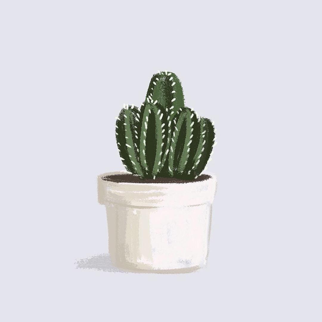 是媛媛不是圆圆🌵