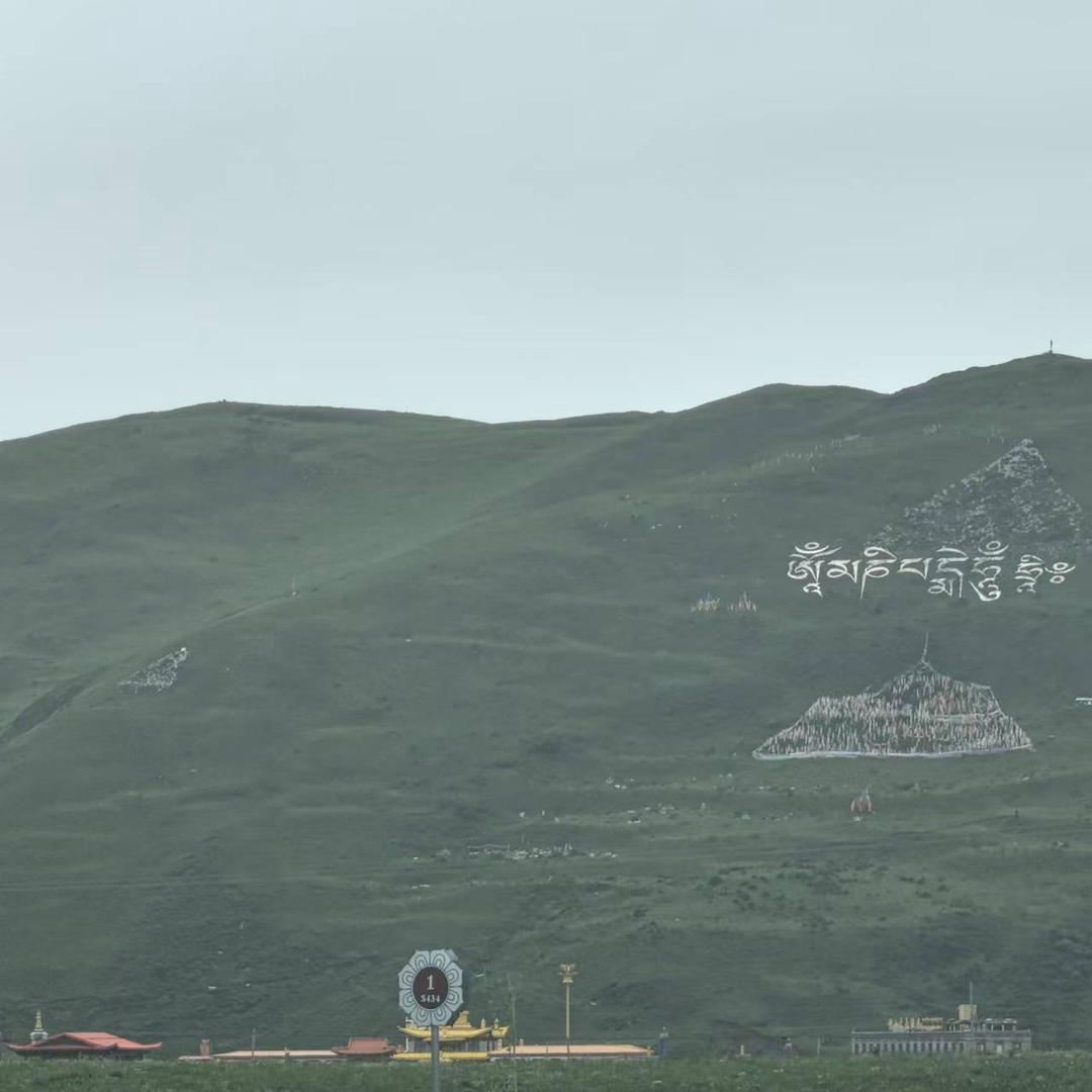 骆骆（盲盒音乐）