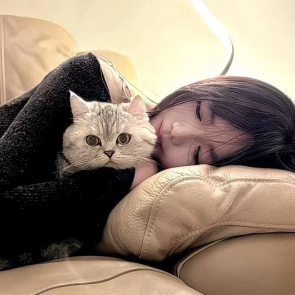 猫猫🐱（用户4955885的小跟班）