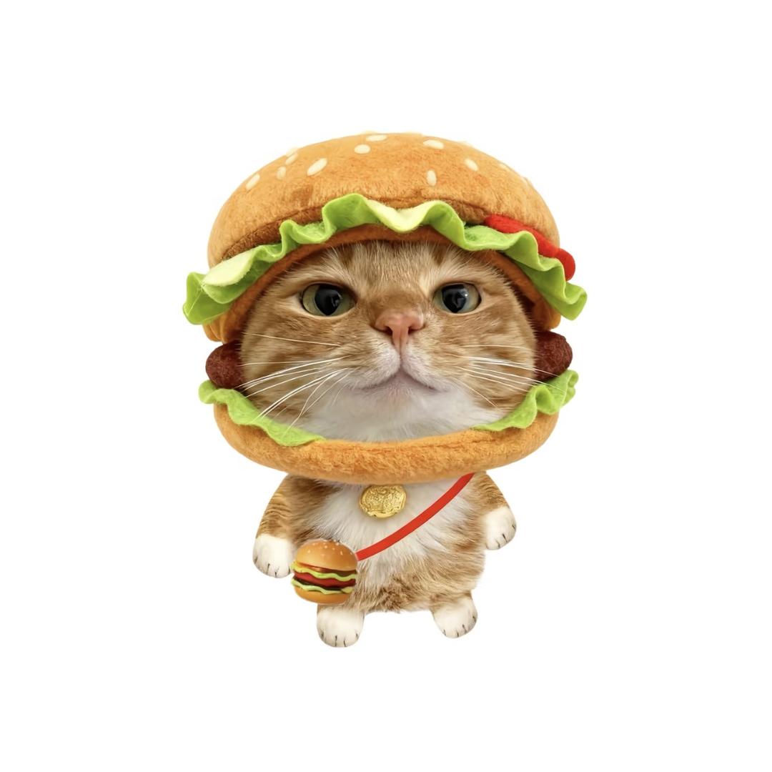 睡觉的时候不困