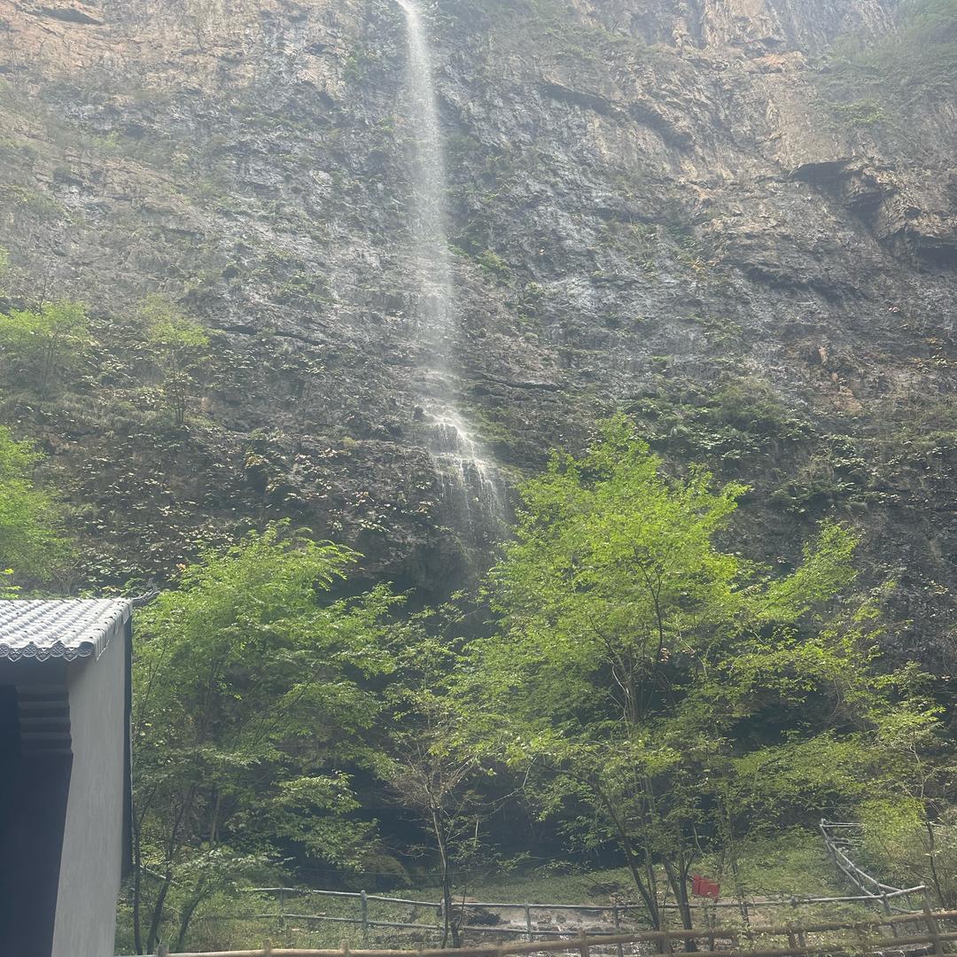 粘豆包子占白糖