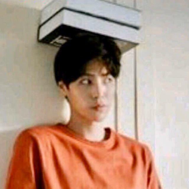 董