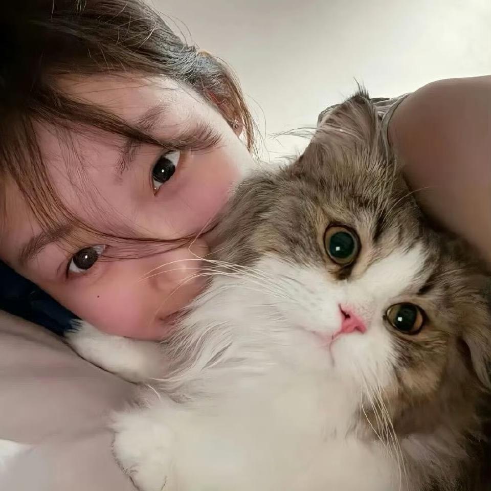 今天也很想你