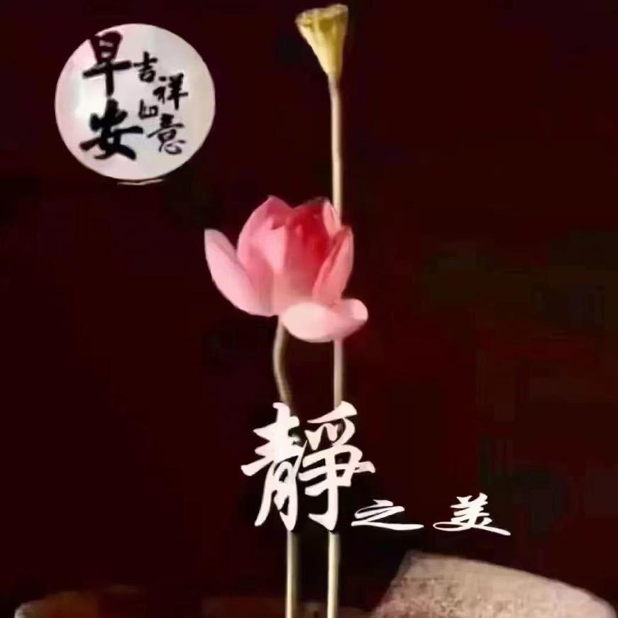 向杨而笙✨
