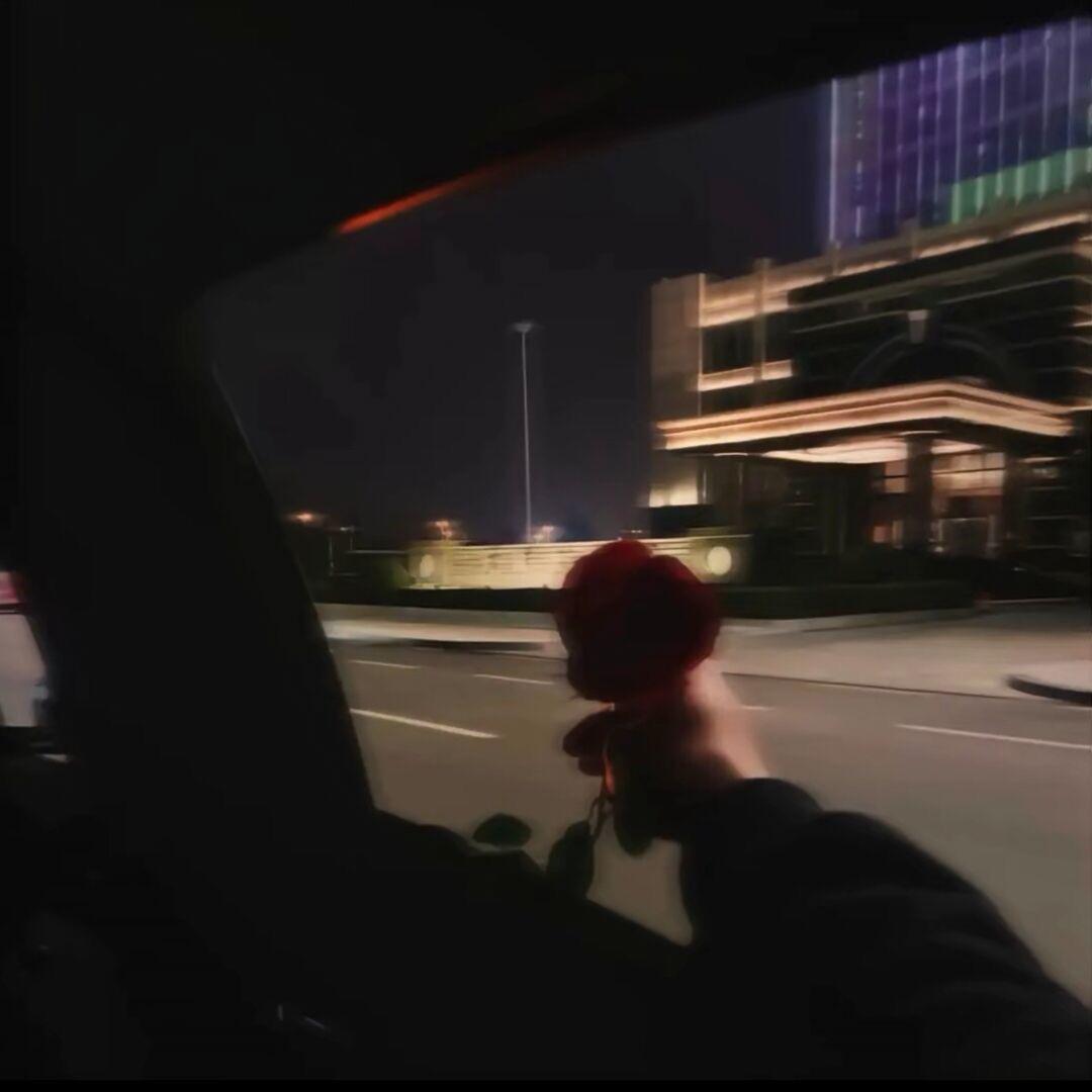 路遇惊鸿