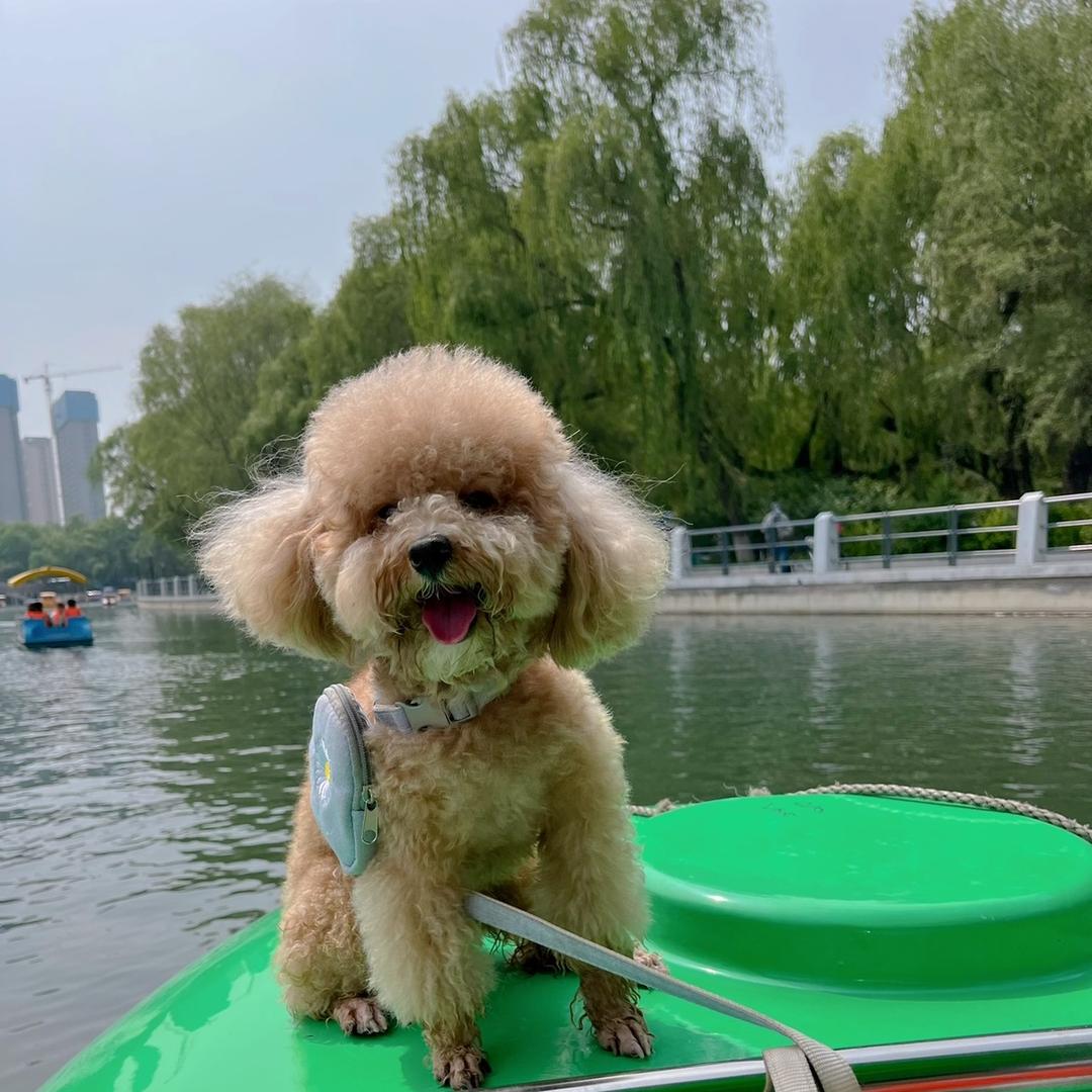 旺财麻麻丫🤵‍♀️