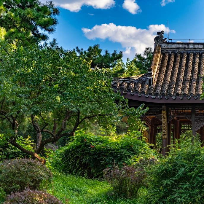 青思