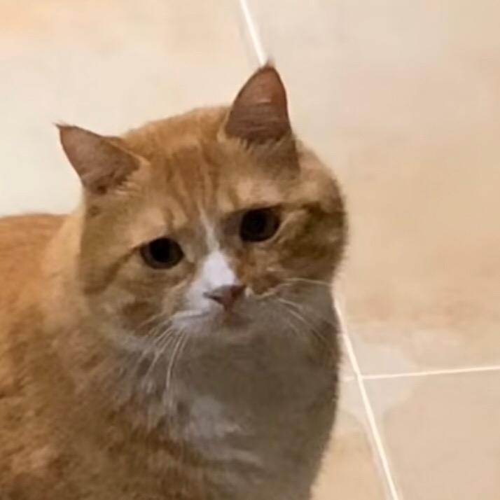 肚肚好饿饿🫣