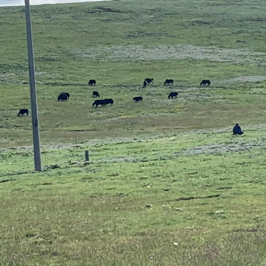 南阳四福汽车服务有限公司