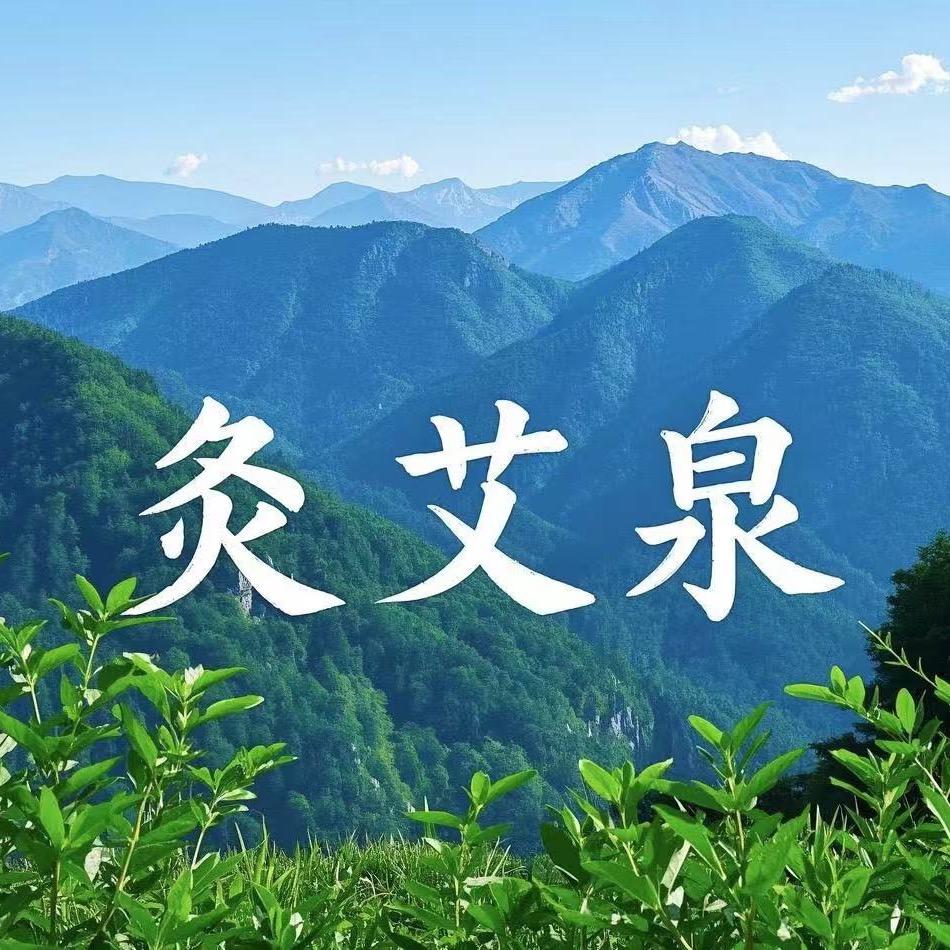 健康养生严选好物