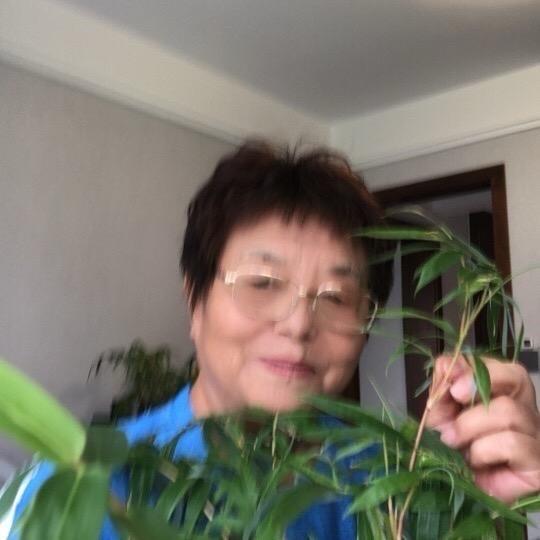 陈奶奶（超慢跑15：50）