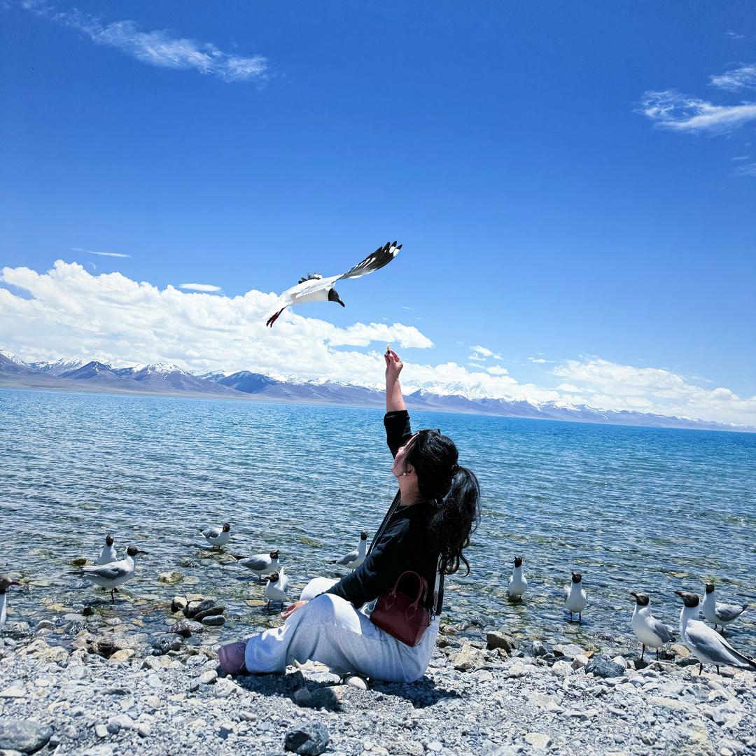 得不到的永远在骚动