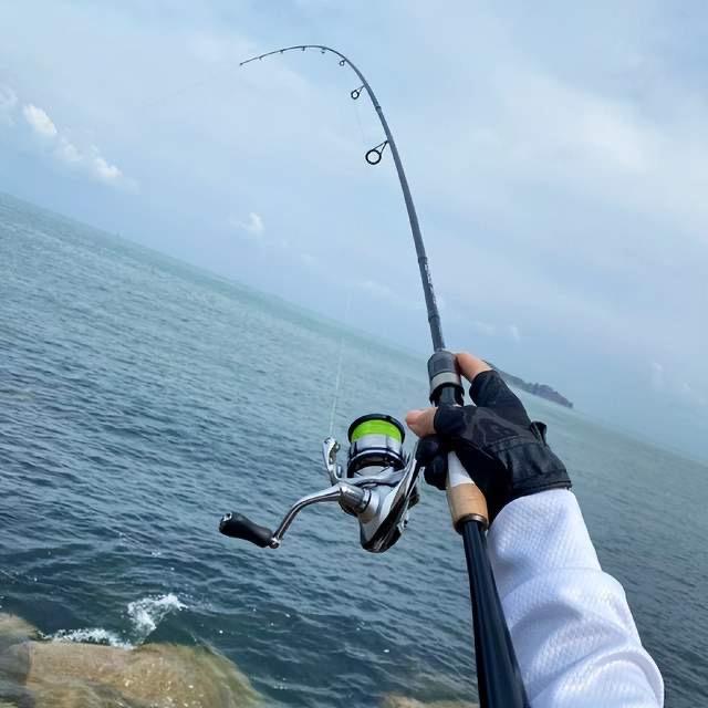 狗蛋爱钓鱼🎣