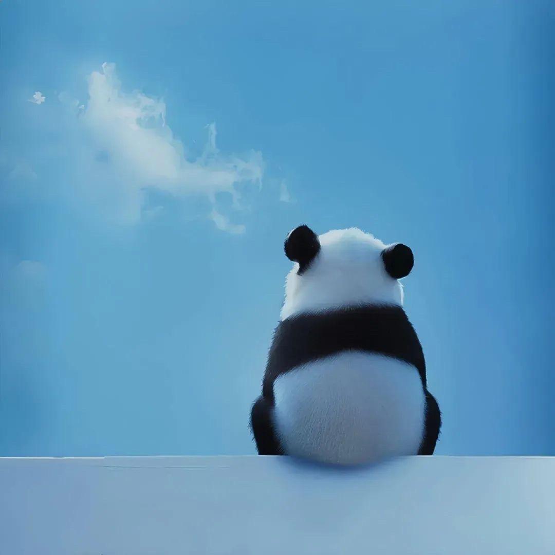 食探雷达王