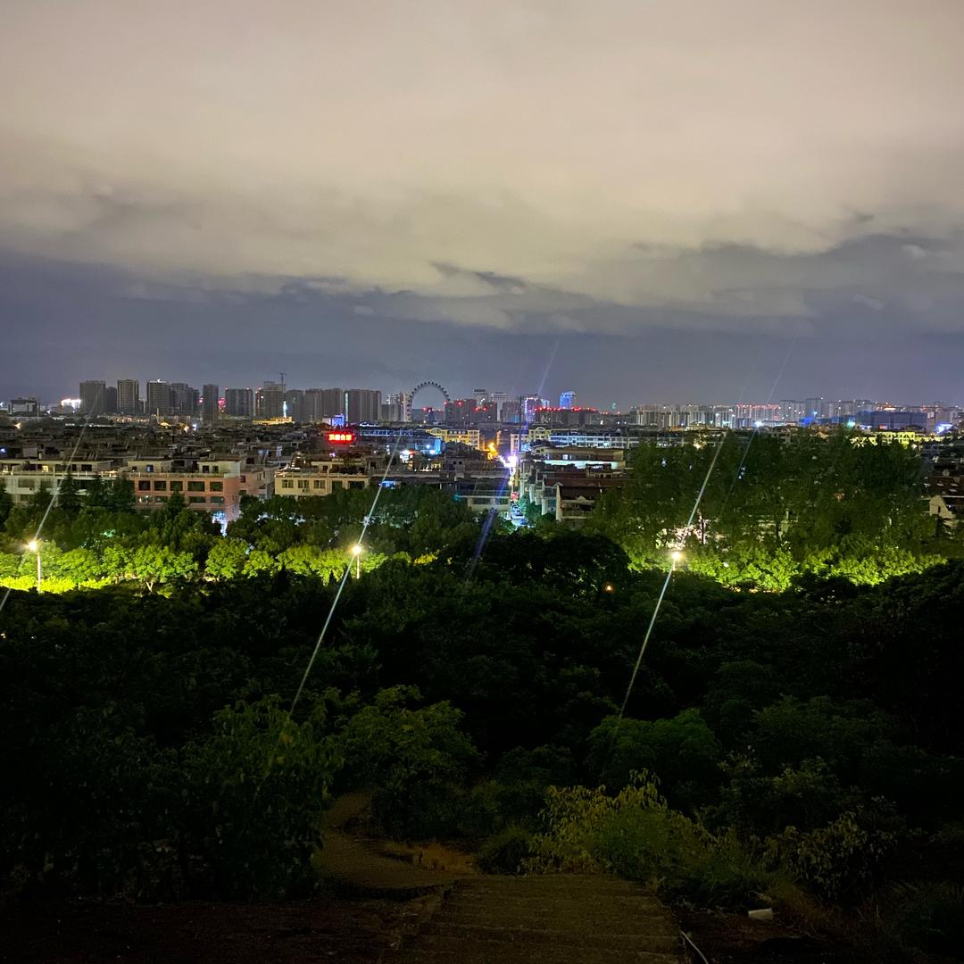 杨老三