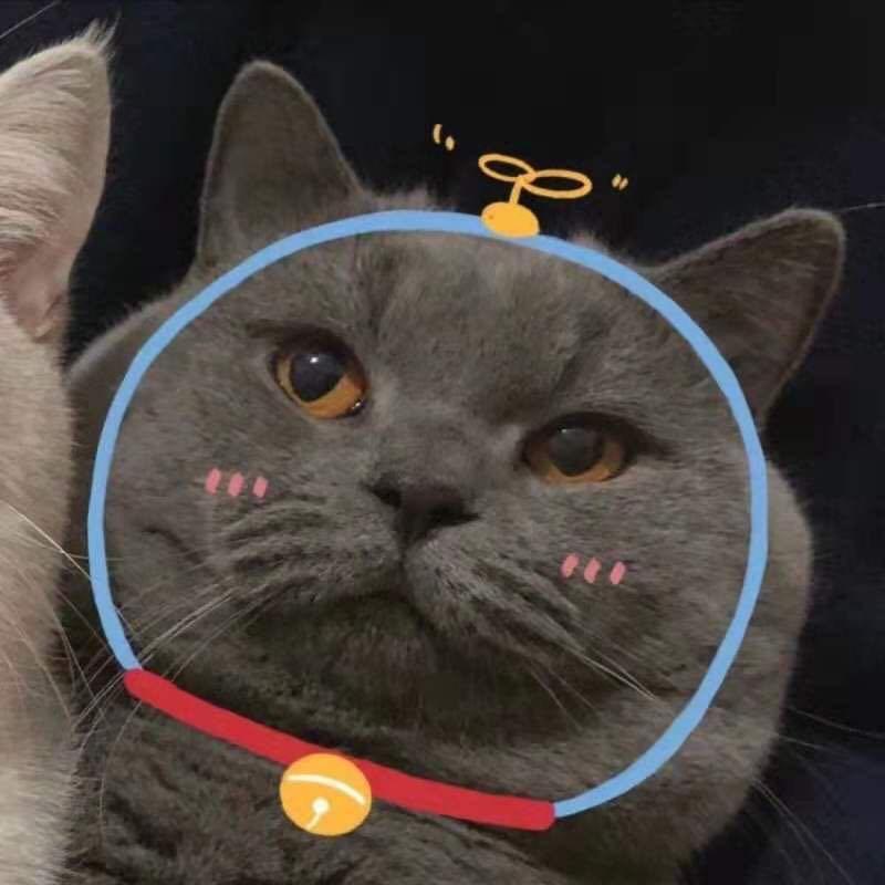 汇云袜业