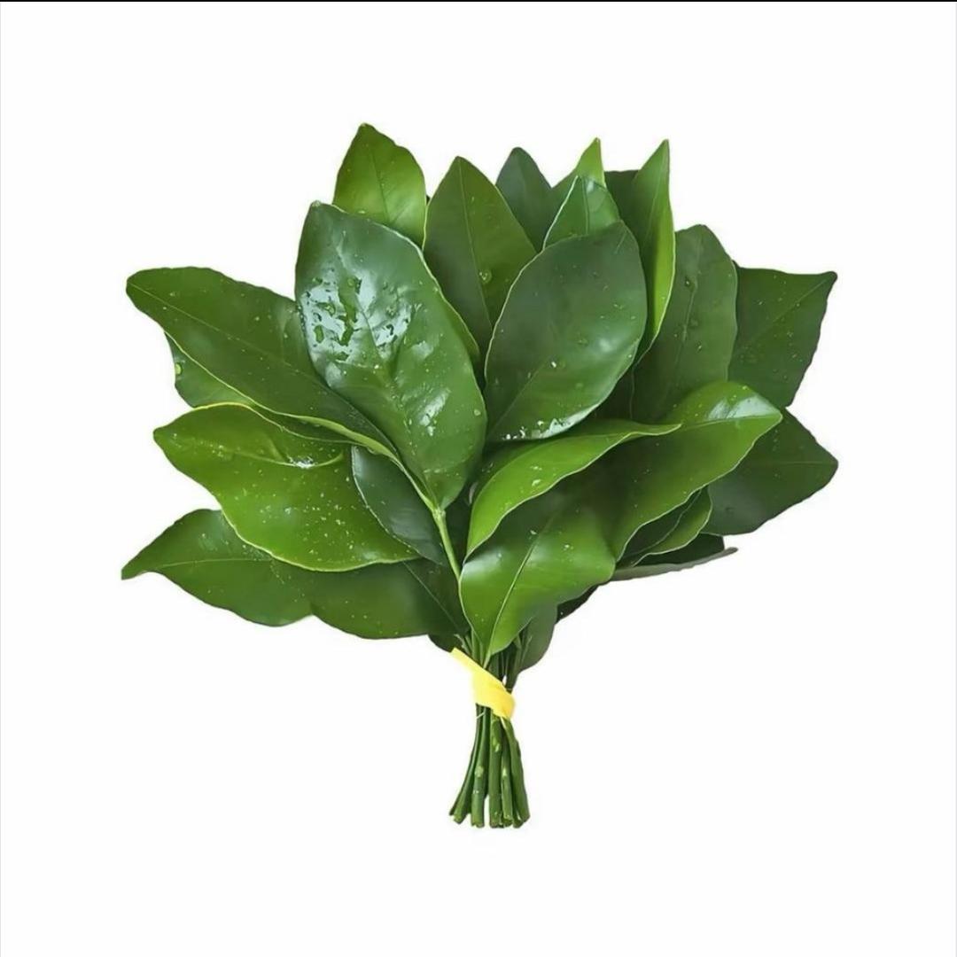 一粒青稞