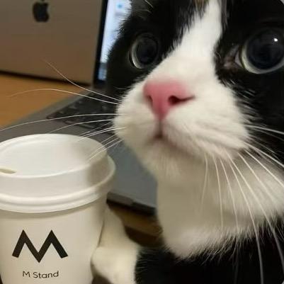 涛子理发日记🤡