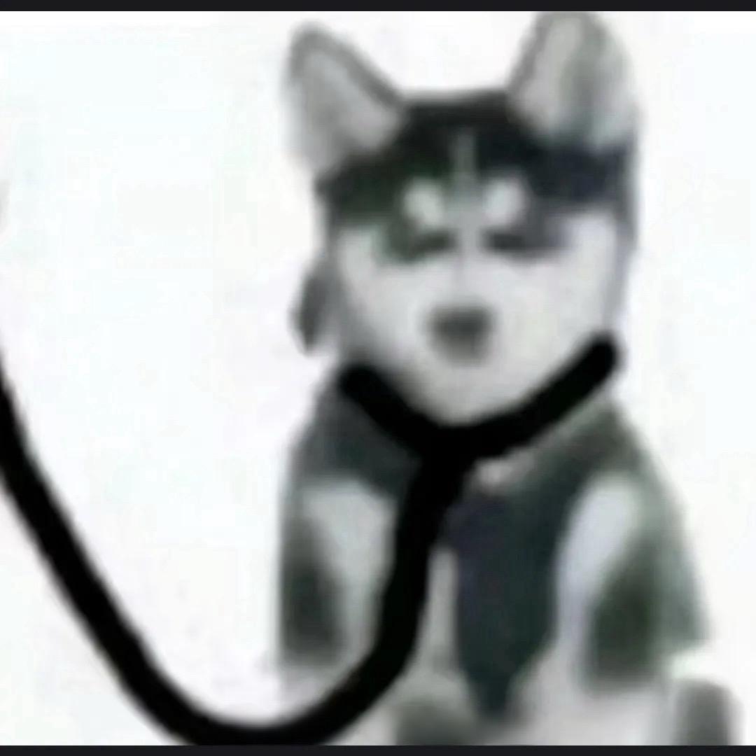 妍里的小江　　　　　　 　   🪳