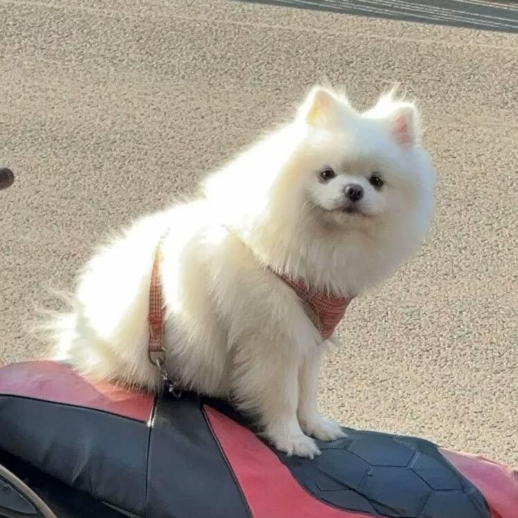 李富贵