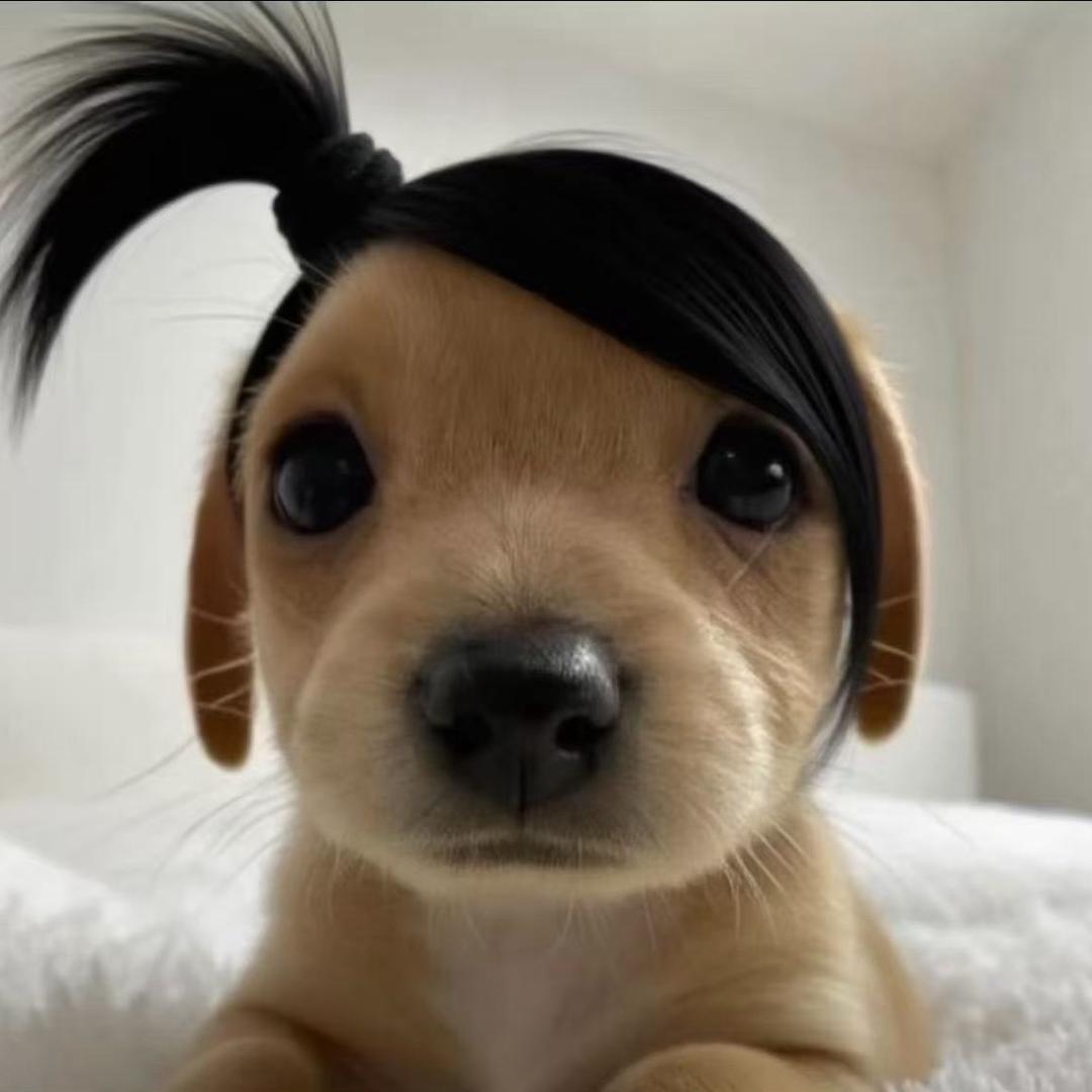 哈哈的小张