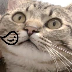 哼唧