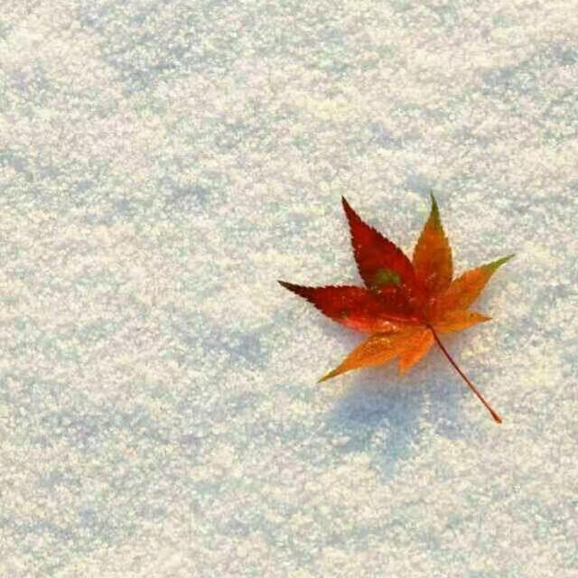 谦拾陆