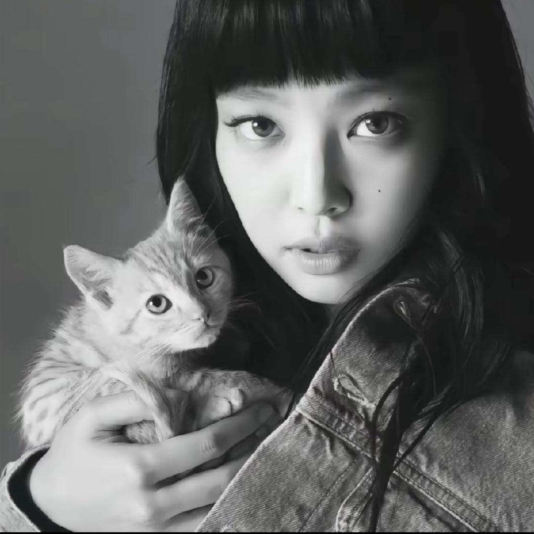 慵懒猫
