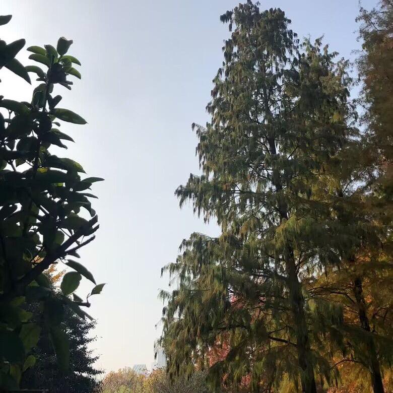 在下陈平安