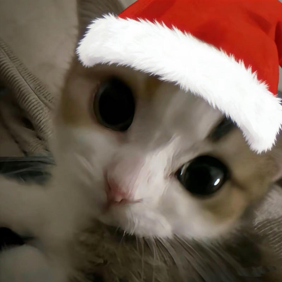 伊