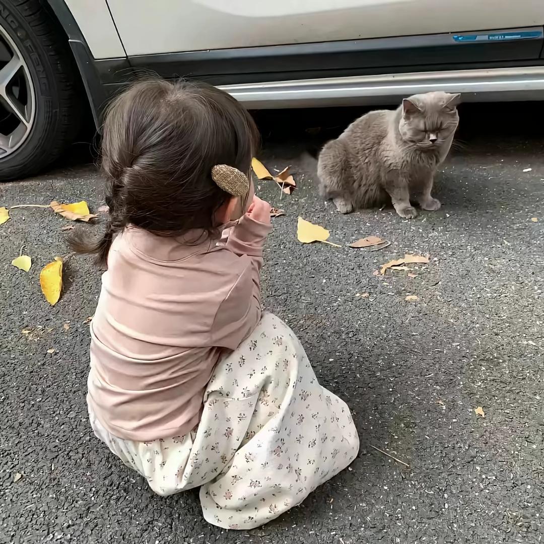 少来烦我^/.